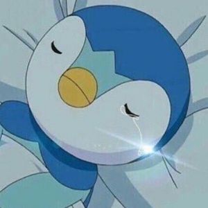 Meet your Posher, Jeff